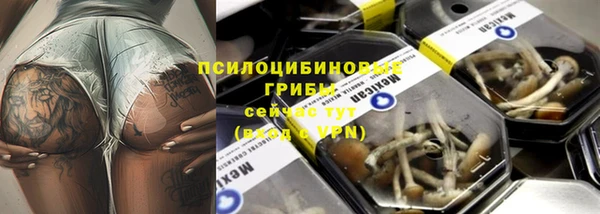 соль курить ск Алзамай