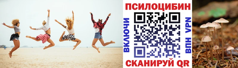 Псилоцибиновые грибы прущие грибы  Жиздра 