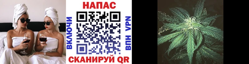 Марихуана MAZAR  Жиздра 